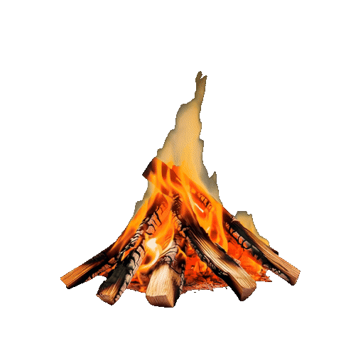 Live flickering campfire