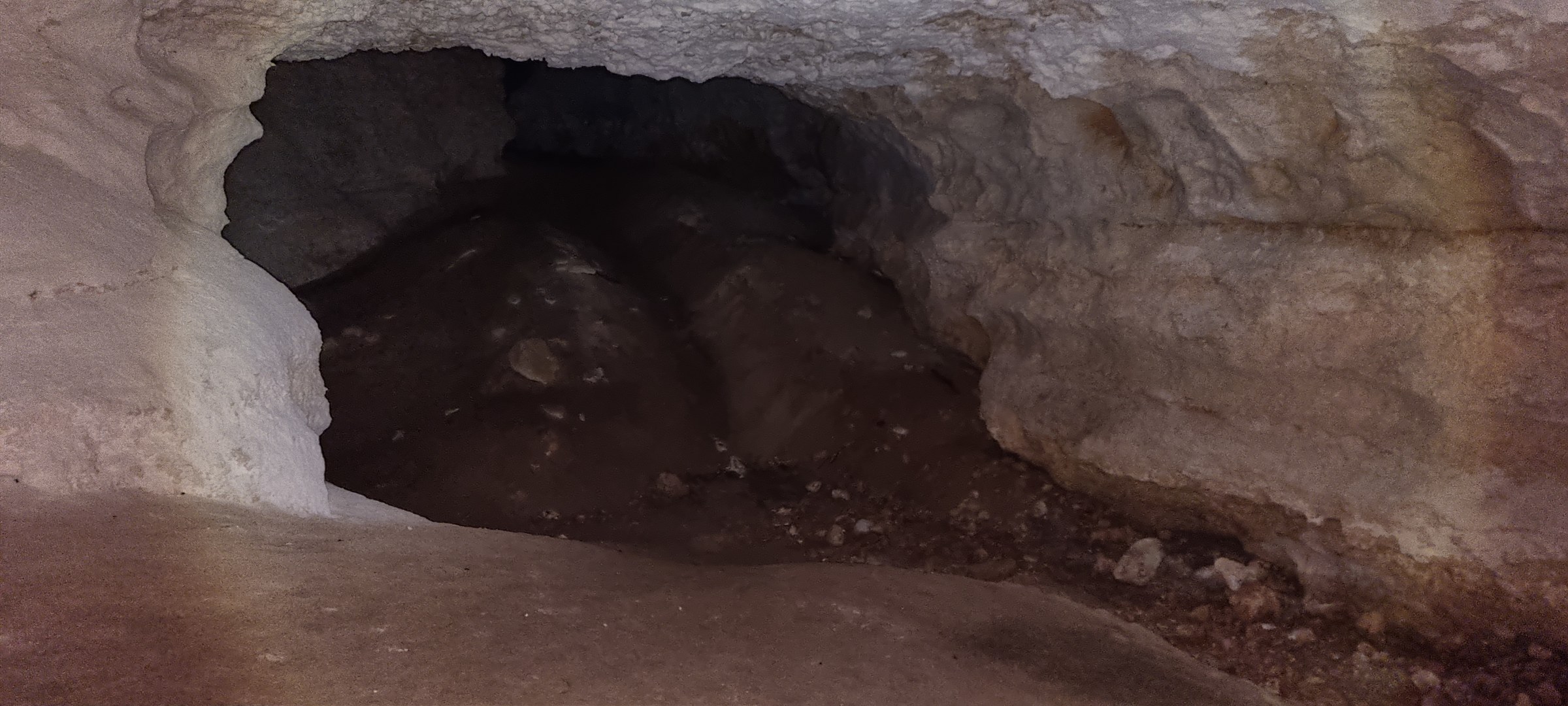 The vaulted limestone chamber walls and ceiling carved beneath the Nullarbor